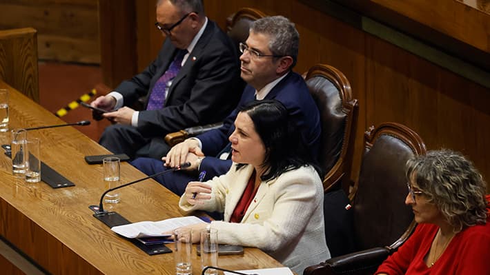 Ministra Steinert presentó en la Cámara plan de seguridad - La Nación