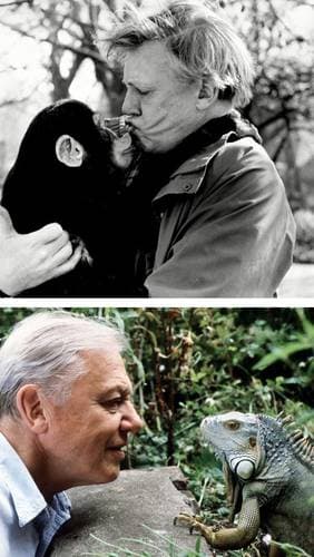 David Attenborough, el centenario naturalista y divulgador científico que logra poner de acuerdo a Carlos III y a sus hijos Guillermo y Harry